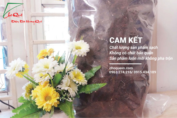 RÂU NGÔ GIÚP HẠ ĐƯỜNG HUYẾT- ĐIỀU HÒA HUYẾT ÁP